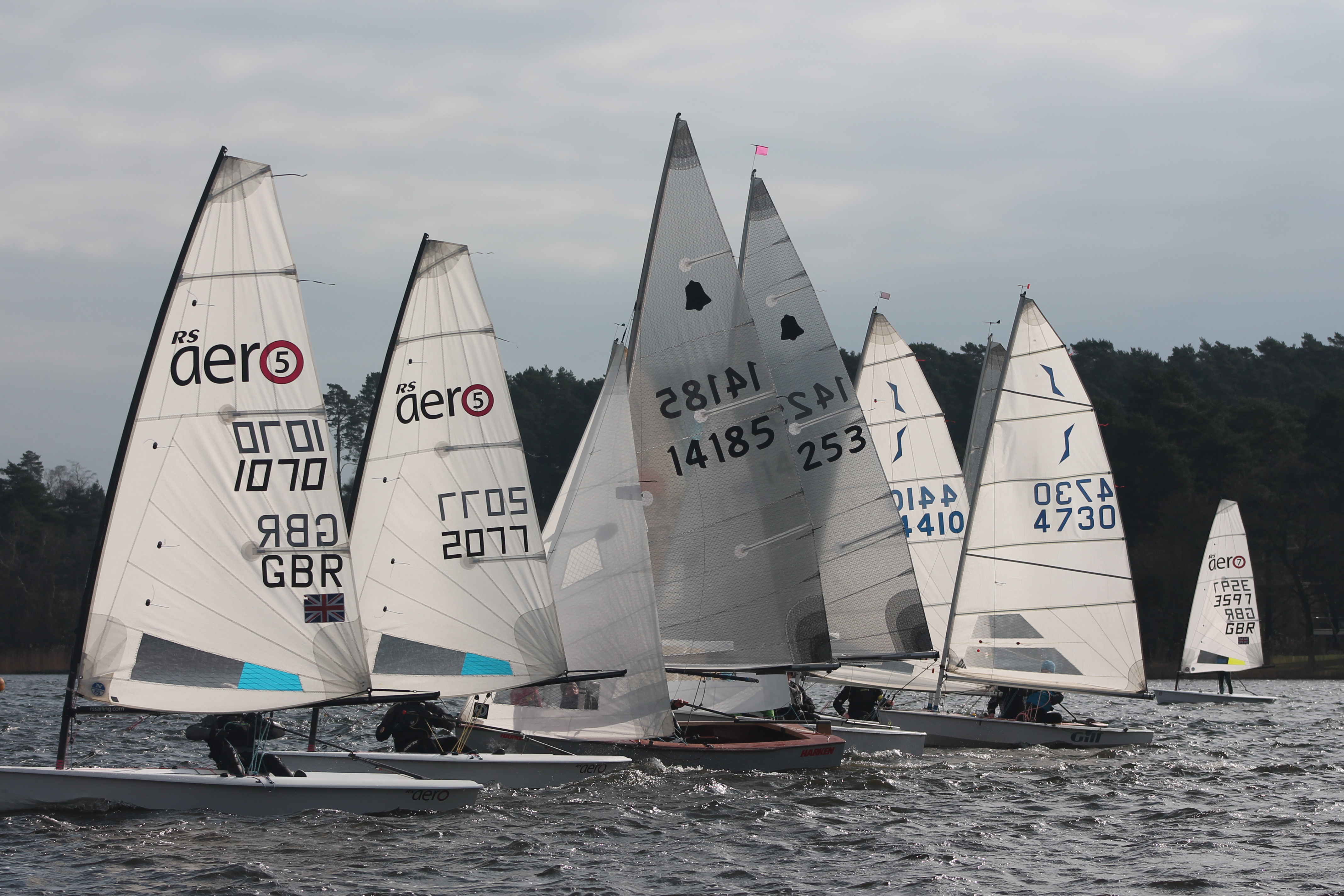  Sail Race Management